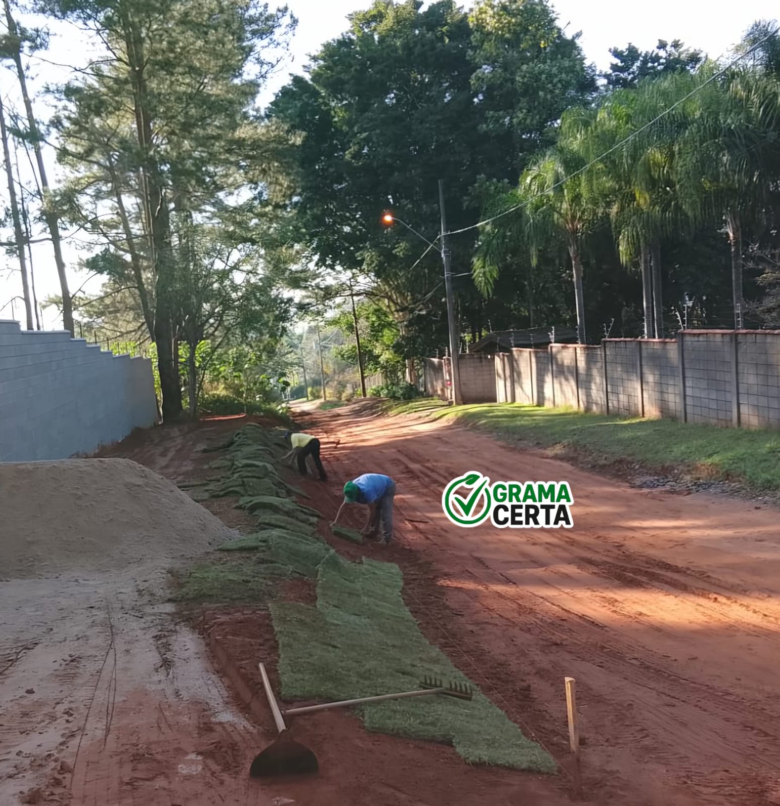 Projeto 22