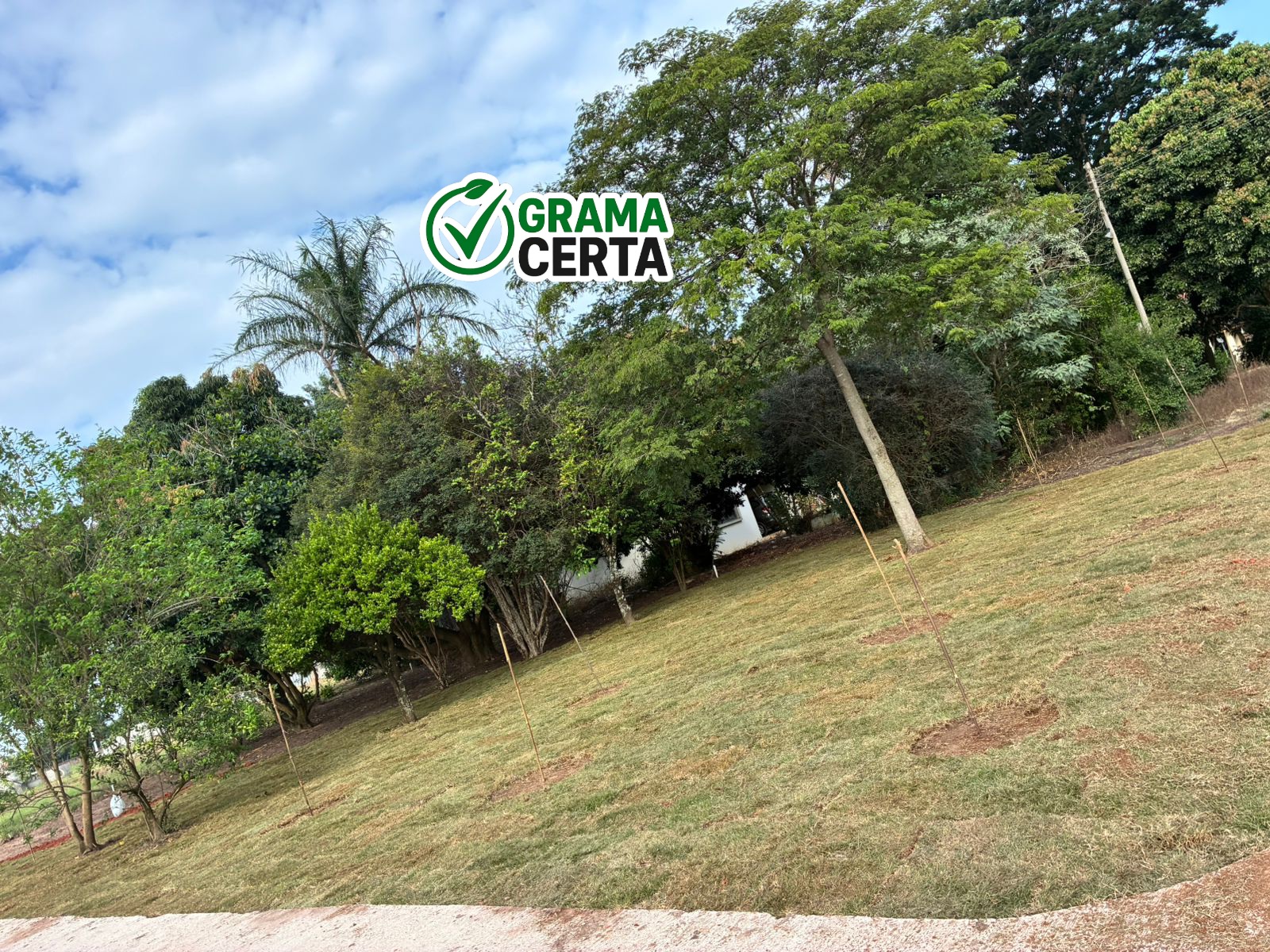 Projeto 24